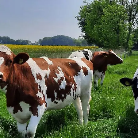 Goden-wind Appartamento *