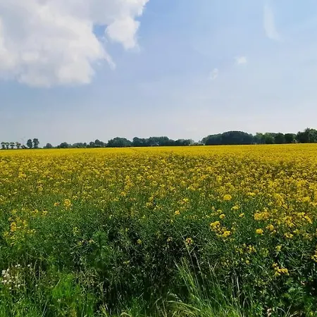 Appartamento Goden-wind