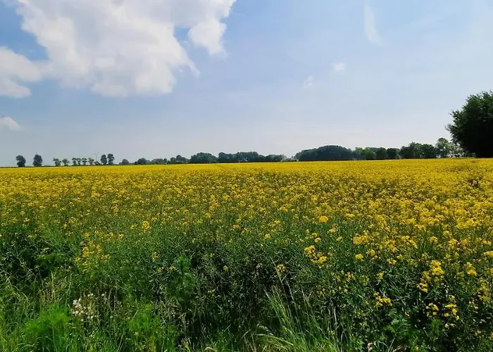 Appartement Goden-wind